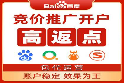 案例解读：SEM广告如何助力品牌崛起